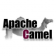 Apache Camel Training in Australia