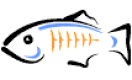 GlassFish Training in Australia