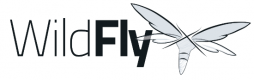 Wildfly Training in Australia